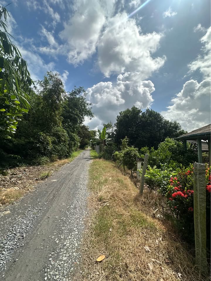 Đất thổ cư mặt tiền 22,63m tại xã Long Thắng, chỉ 1,7 tỷ - Cơ hội đầu tư tuyệt vời!