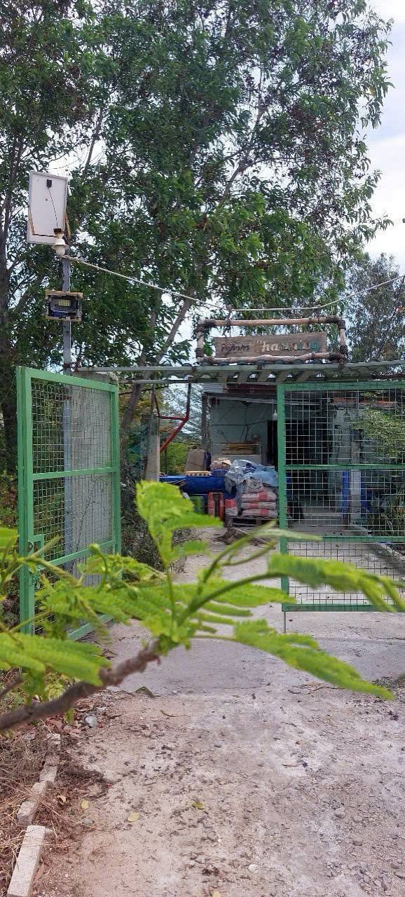 Đất Farm 1400m² Tân Hải, Phú Mỹ giá chỉ 3.9 tỷ - Đầu tư sinh lời lý tưởng!