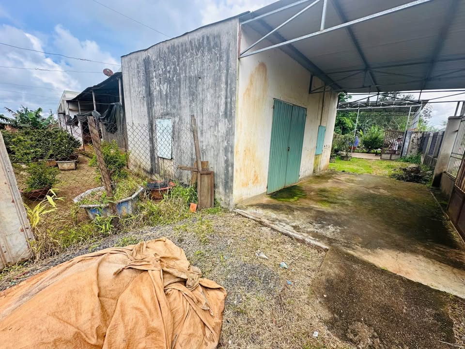 Nhà cấp 4 mặt tiền Đào Duy Từ, Biển Hồ 750m² giá 2.3 tỷ - Đầu tư sinh lời!