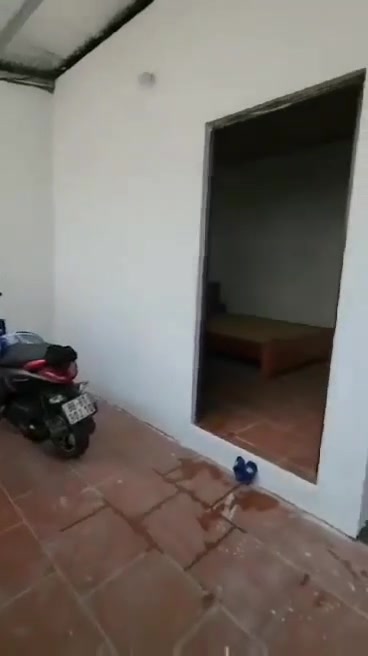 Nhà cấp 4 cho thuê tại Tân Thịnh, Vĩnh Yên - Giá thỏa thuận hấp dẫn!