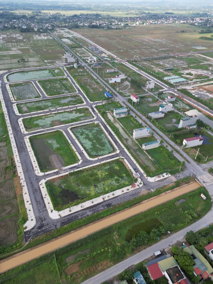 Đất nền Thọ Xuân 100m² giá 650 triệu - Sổ hồng chính chủ, đầu tư sinh lời!