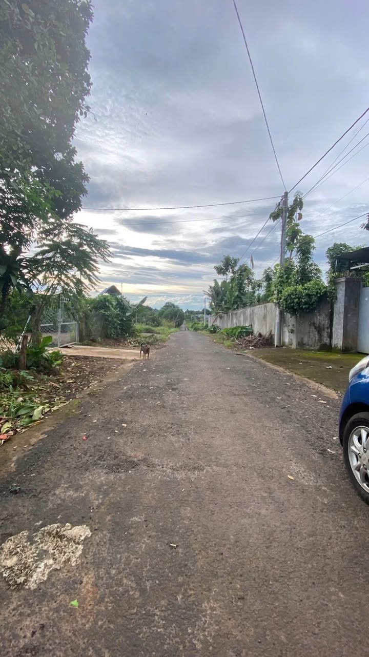 Đất nền phường Ea Kao 380m² giá 650 triệu - Cơ hội đầu tư hấp dẫn!