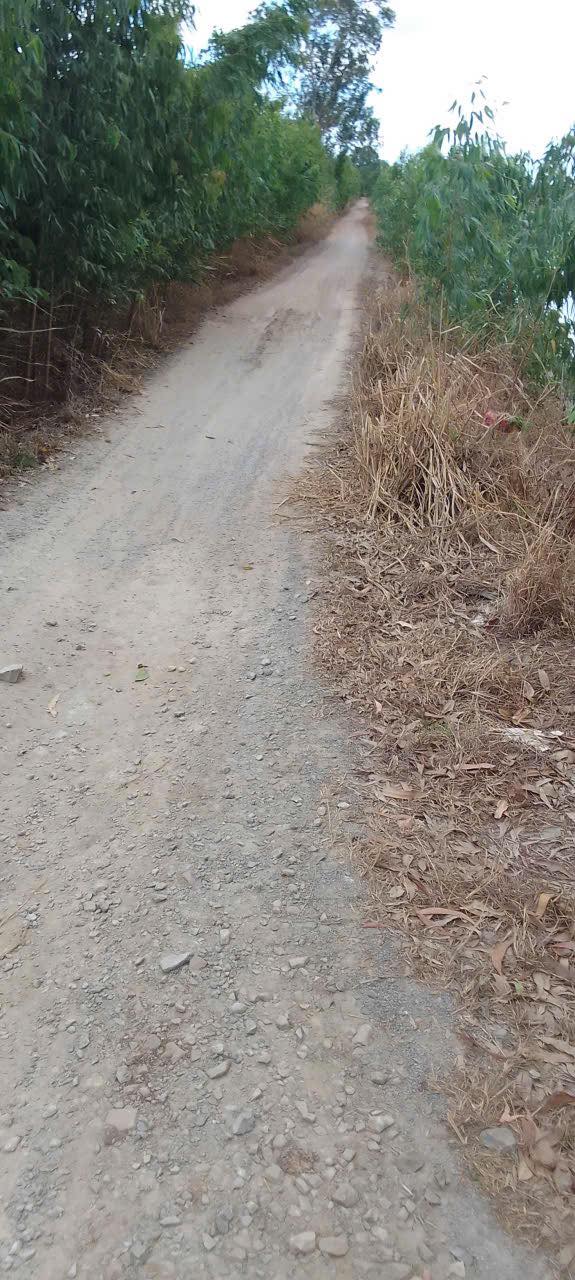 Đất nông nghiệp 27 công, Tân Bình, Long An - Chỉ 8.91 tỷ, mặt tiền rộng 270m!