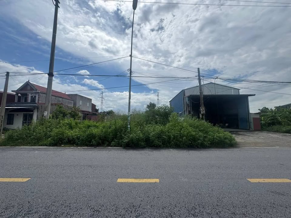 Đất nền mặt đường An Kim, An Dương, Hải Phòng 200m² - Đầu tư sinh lời lý tưởng!