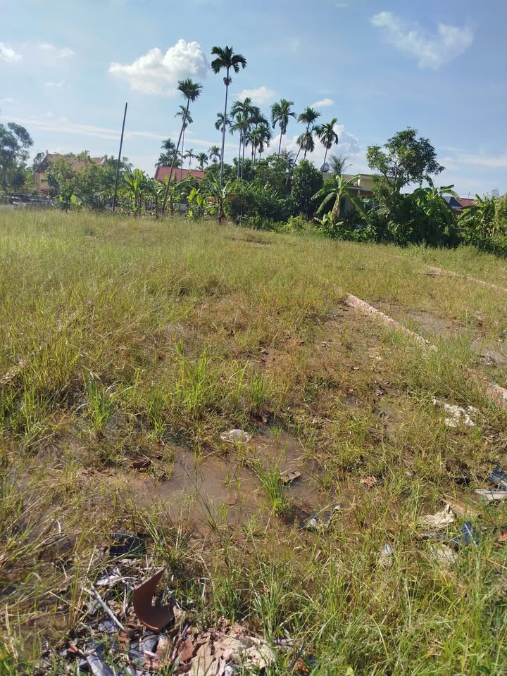 Đất nền Tân Phong - Kiến Thụy 68m² giá 1.3 tỷ - Cơ hội đầu tư hấp dẫn!