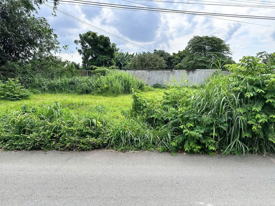 Đất nền Hòa Long Bà Rịa 142.2m² giá 2.55 tỷ - Vị trí đắc địa, đầu tư sinh lời!