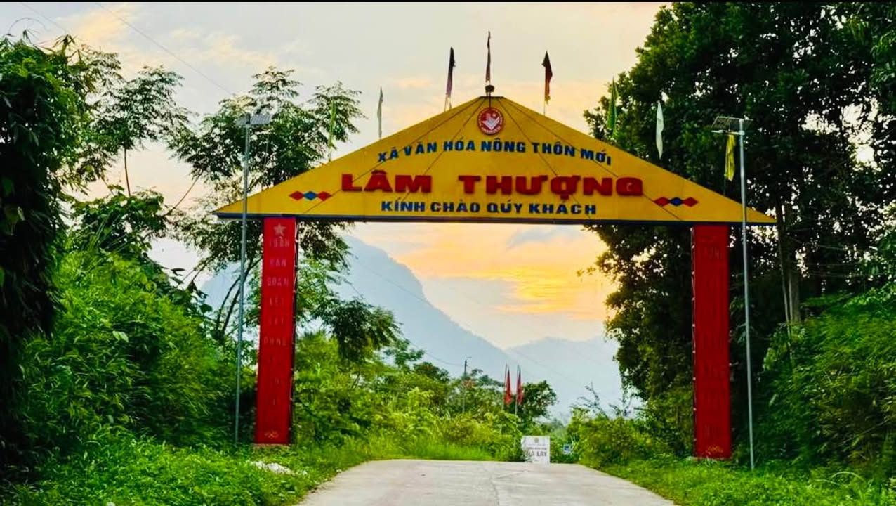 Đất trúng đấu giá Lâm Thượng 115m² giá 370 triệu - Vị trí kinh doanh thuận lợi!