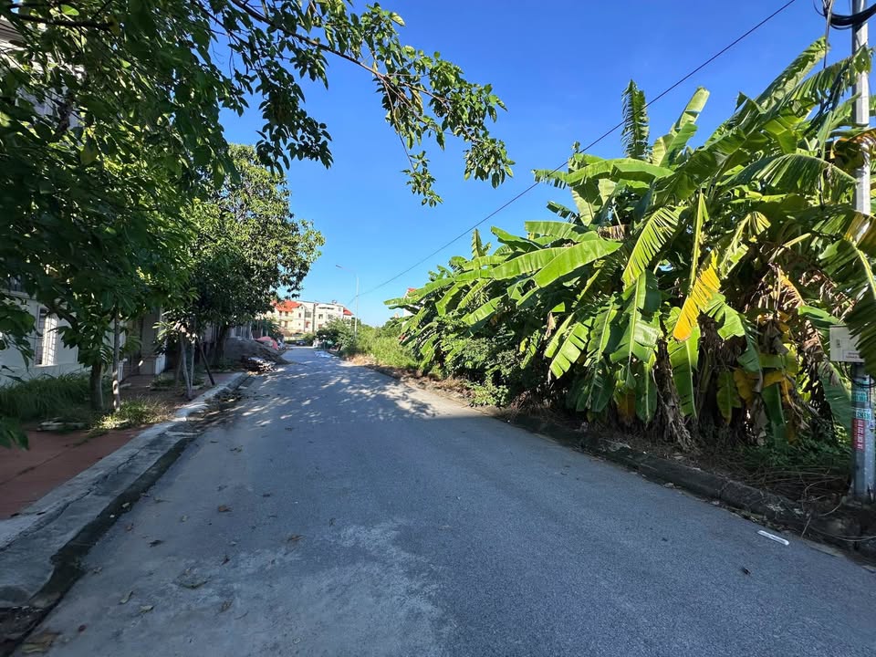 Biệt thự khu Đại Hoàng Long, Bắc Ninh 270m² giá 17 tỷ - Cơ hội đầu tư tuyệt vời!