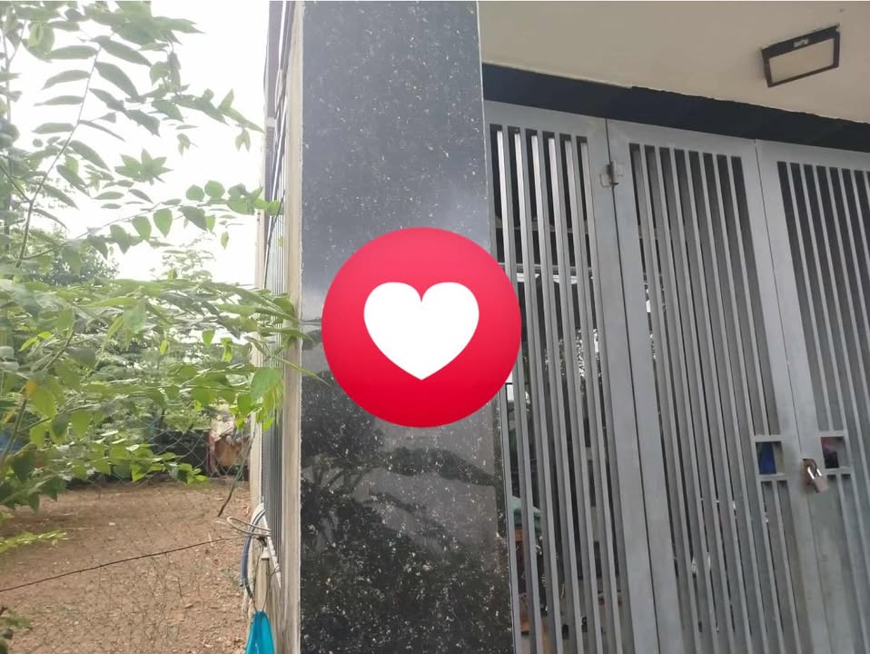 Đất nền Cẩm Lệ Đà Nẵng 96m² giá 1.6 tỷ - Sổ đỏ chính chủ, ô tô vào tận nơi!