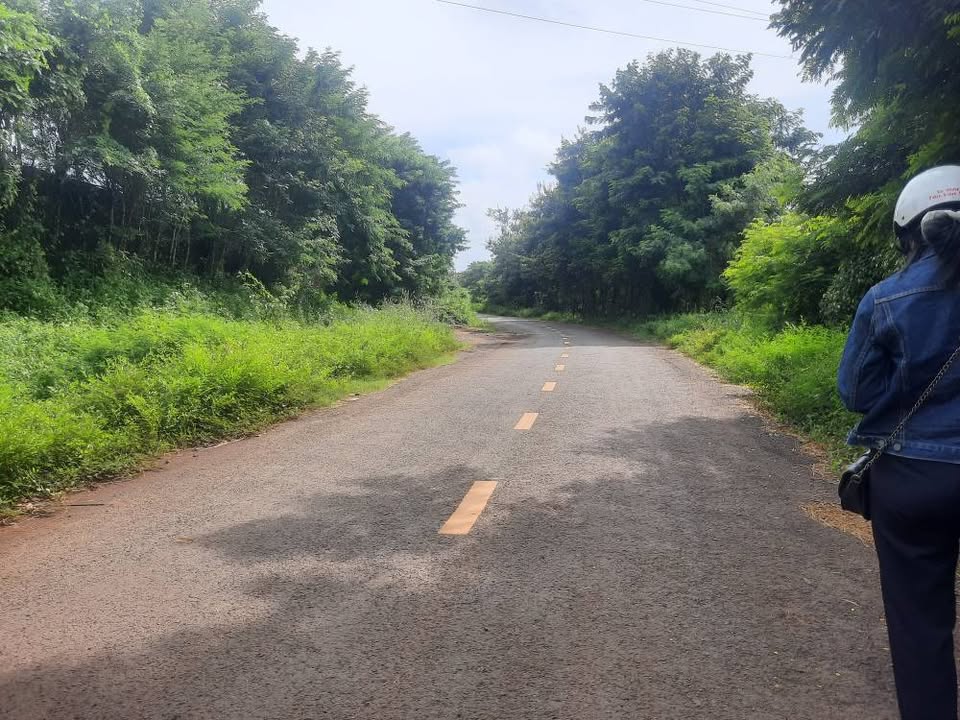 Đất nền phường Ea Kao 1400m² giá 1.45 tỷ - Vị trí đắc địa gần hồ đẹp!