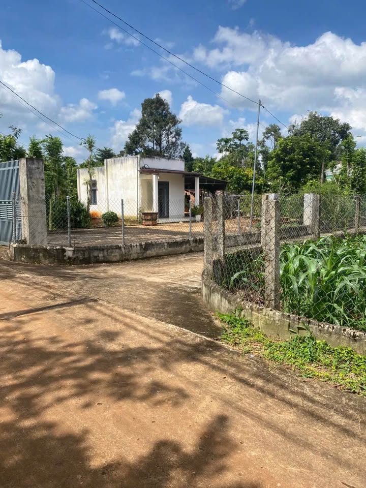 Bán lốc 10 lô đất liền kề tại xã Ea Ning – Cư Kuin – Đắk Lắk chỉ từ 270 triệu - Giá tốt cho nhà đầu tư!