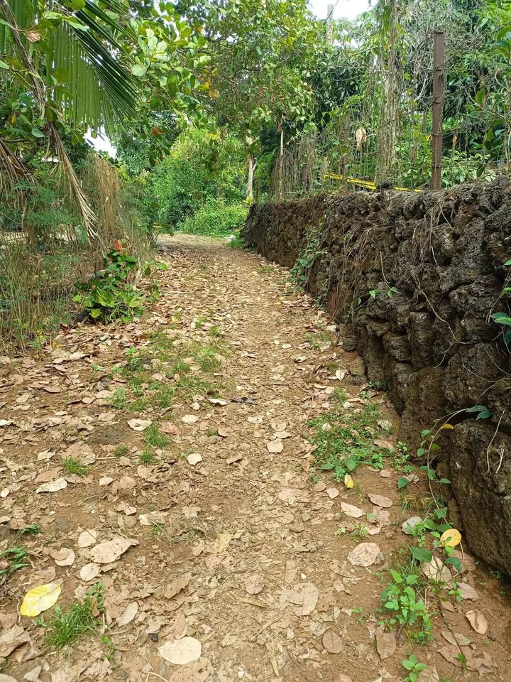 Đất ở Tân Phú Đồng Nai 220m² giá 919 triệu - Sổ hồng riêng, pháp lý sạch!