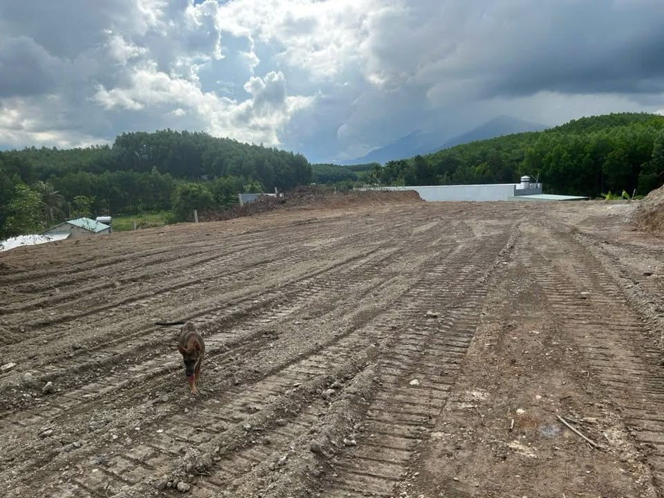 Đất nền Hòa Phong Đà Nẵng 4500m² giá 4.5 tỷ - View Hồ tuyệt đẹp!