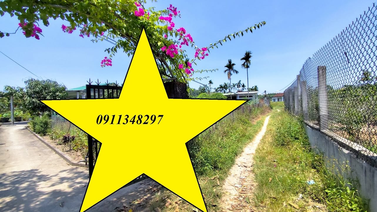 Bán lô đất Thôn Thọ Đông, Xã Tịnh Thọ 123m² giá 380 triệu - Khu dân sinh hiện hữu!