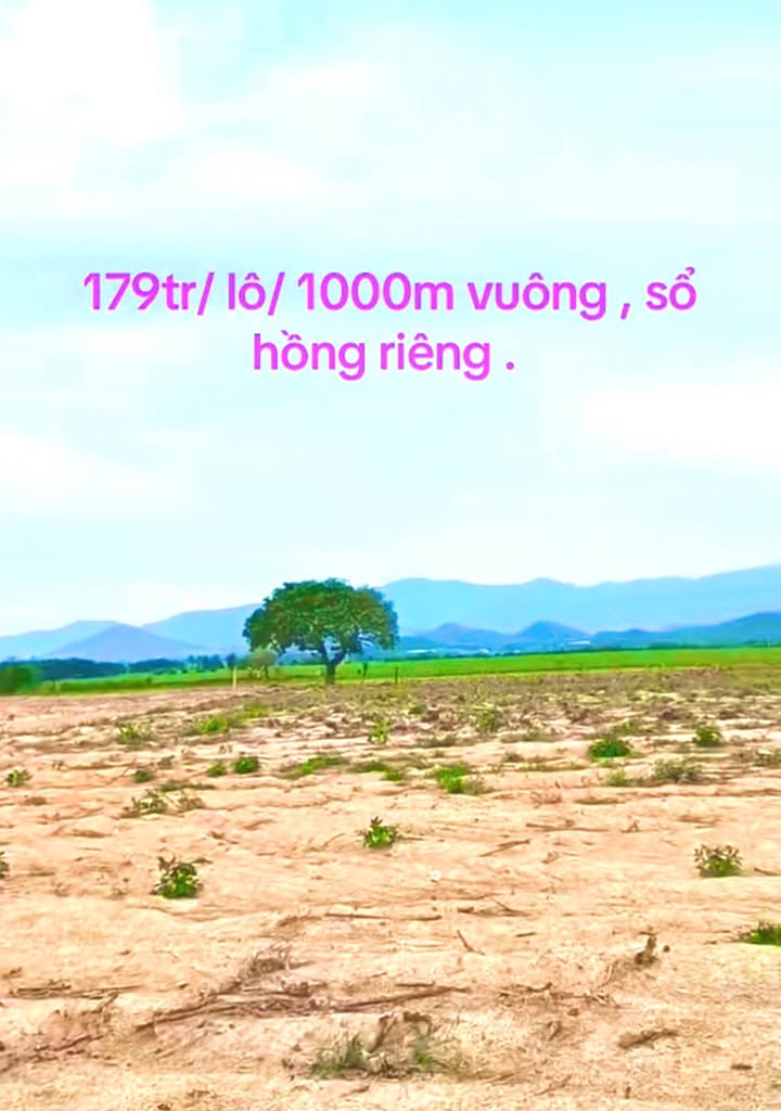 Đất nền Ninh Thuận 1000m² giá chỉ 179 triệu - Sổ đỏ chính chủ, công chứng ngay!