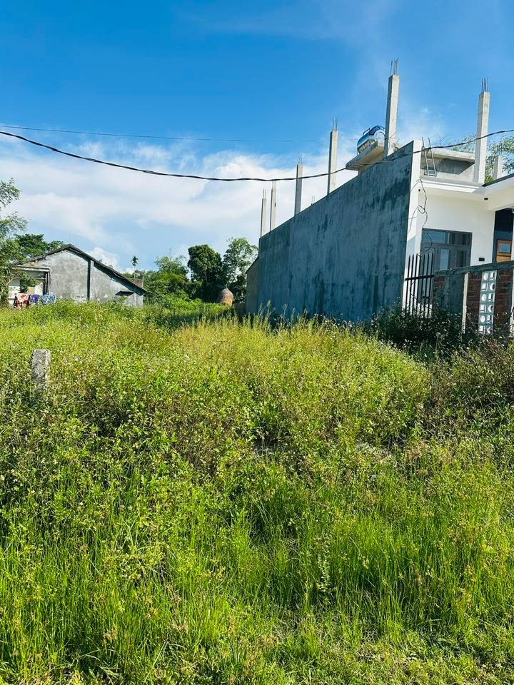 Đất nền Tam Đàn 210m² giá thỏa thuận - Cơ hội đầu tư hấp dẫn!