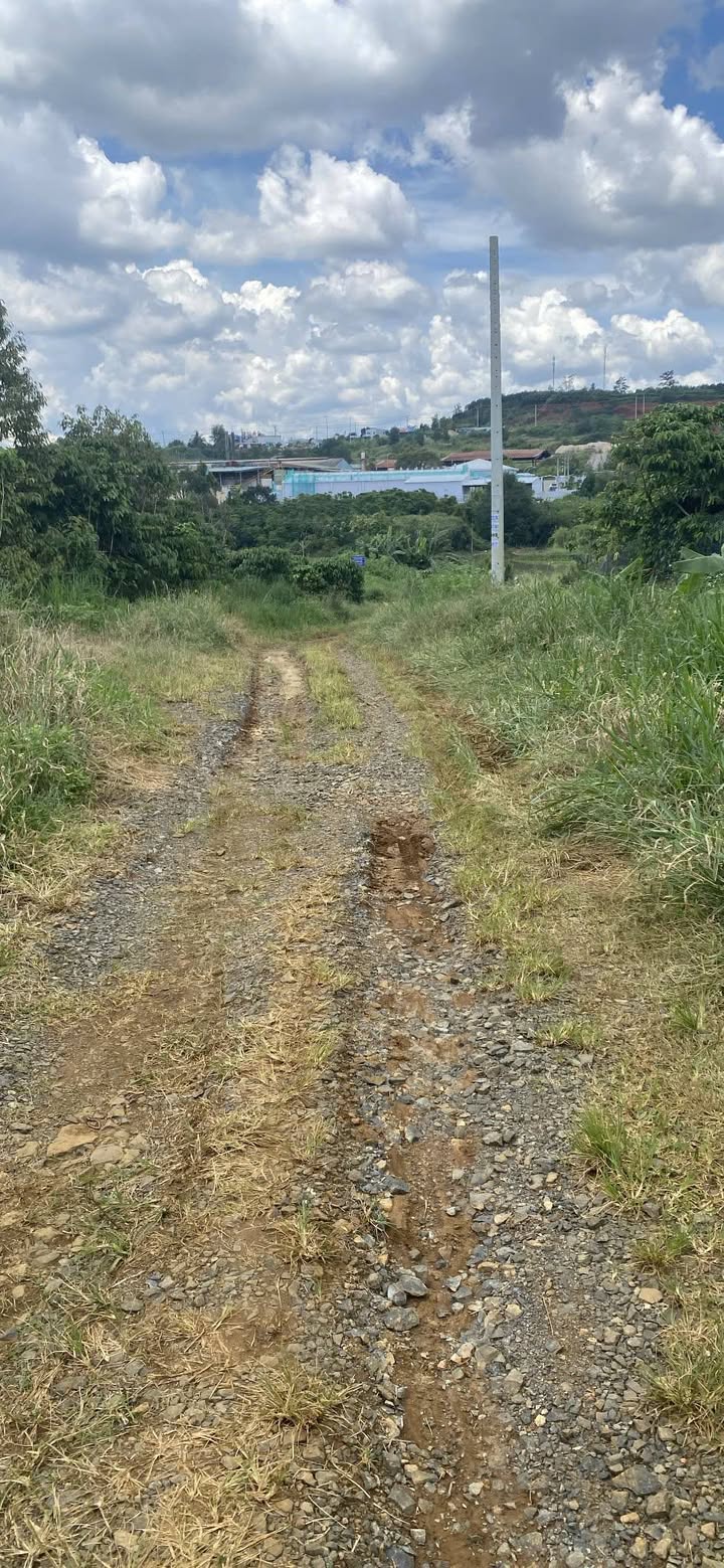 Đất thổ cư Lộc Thành Bảo Lộc 150,7m² giá 375 triệu - Sổ đỏ chính chủ!