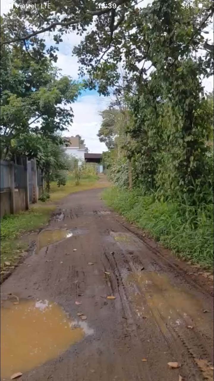 Đất nền 500m² phường Ea Kao, Buôn Ma Thuột giá 550 triệu - Cơ hội đầu tư hấp dẫn!