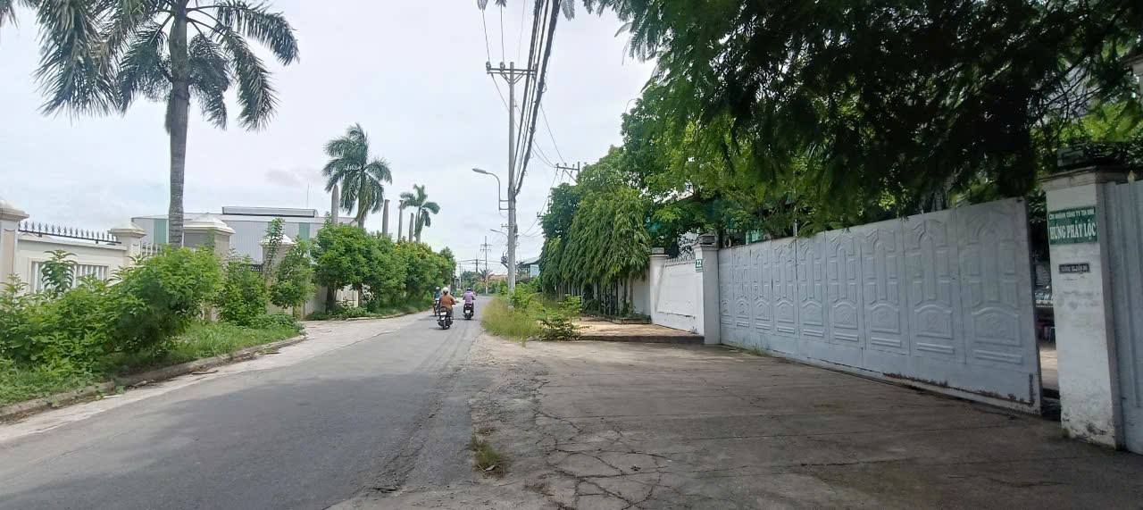 Xưởng cho thuê tại Tân Thông Hội, Củ Chi 5000m² - Đầy đủ tiện nghi, giá tốt!