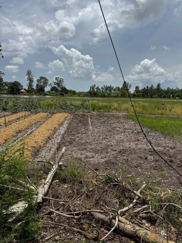 Đất nền Thị Trấn Phú Hòa 215m² giá 550 triệu - Cơ hội trúng vàng hoặc xe!