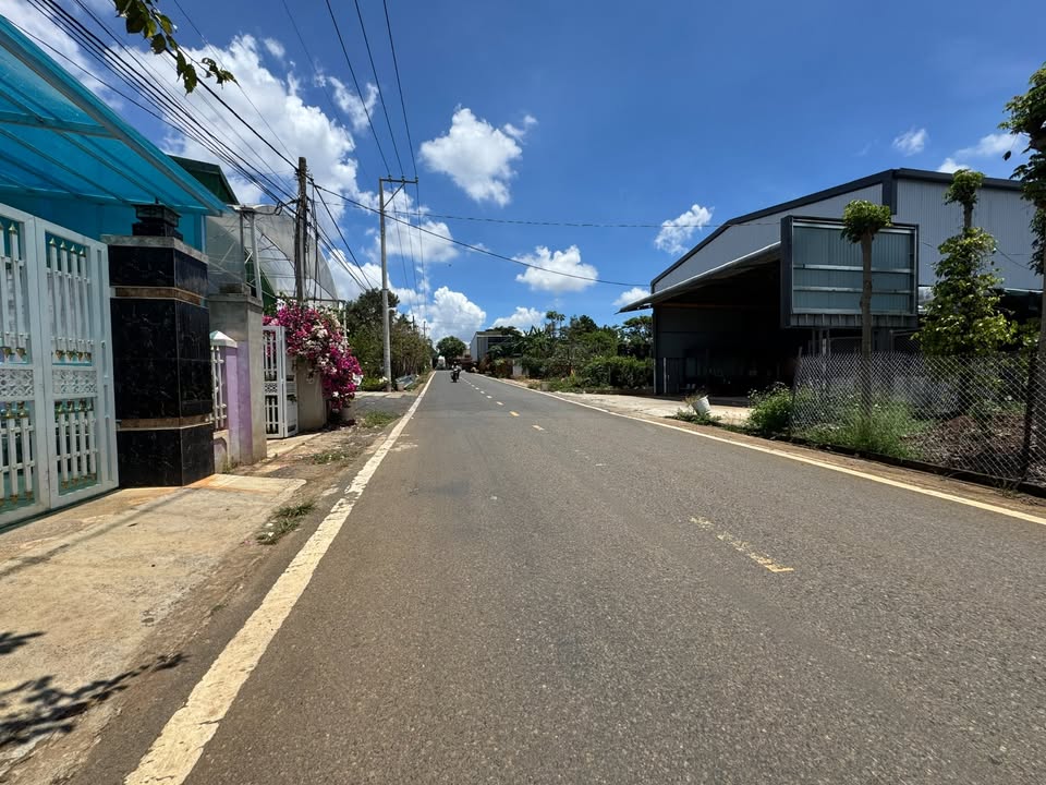 Đất mặt tiền nhựa Liên Nghĩa 500m² giá 4 tỷ - Đầu tư lý tưởng!