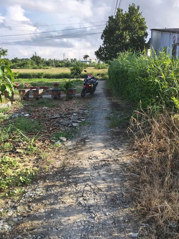 Đất nền 824,7m² tại Tân Phú Đông, Đồng Tháp - Giá tốt cho nhà đầu tư!