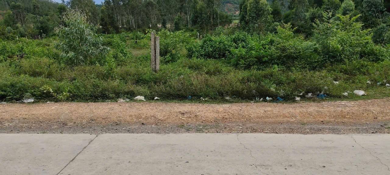 Đất CLN QH thổ cư Ninh Đông 1308m² giá thỏa thuận - Phù hợp làm bãi kho xưởng