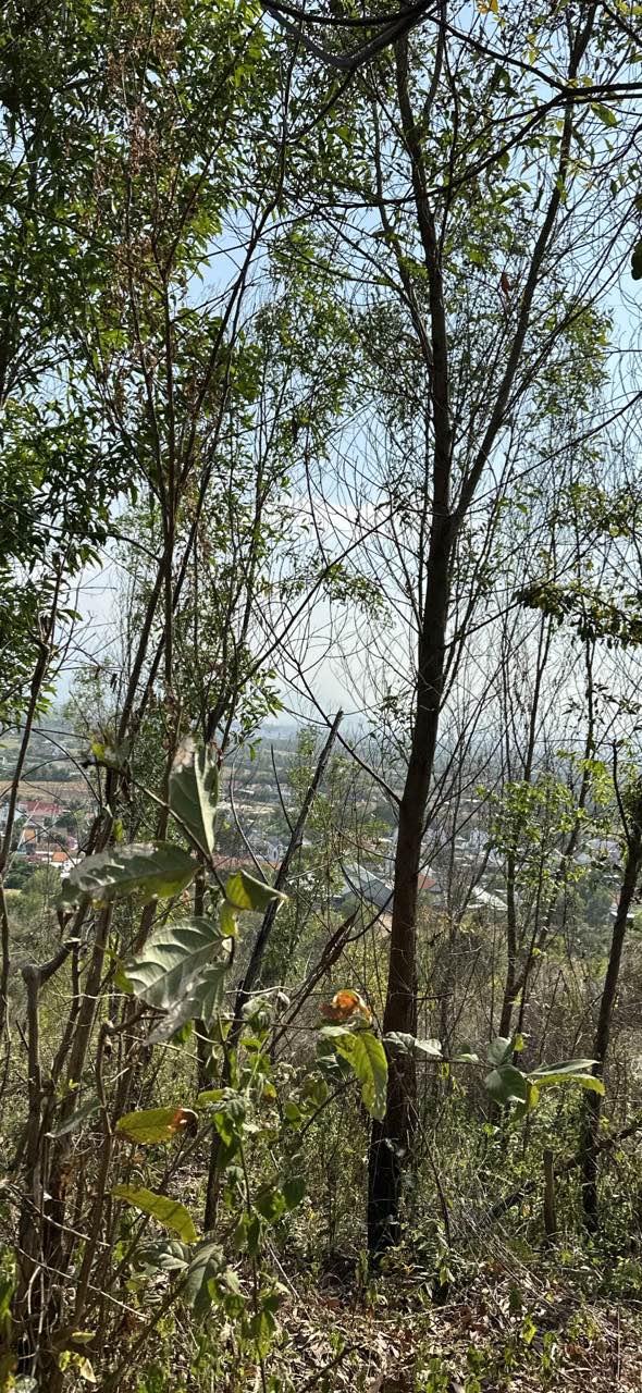 Đất Nền Tại Ninh Hòa, Khánh Hòa 24.855,8m² - Đầu Tư Sinh Lời Hấp Dẫn!