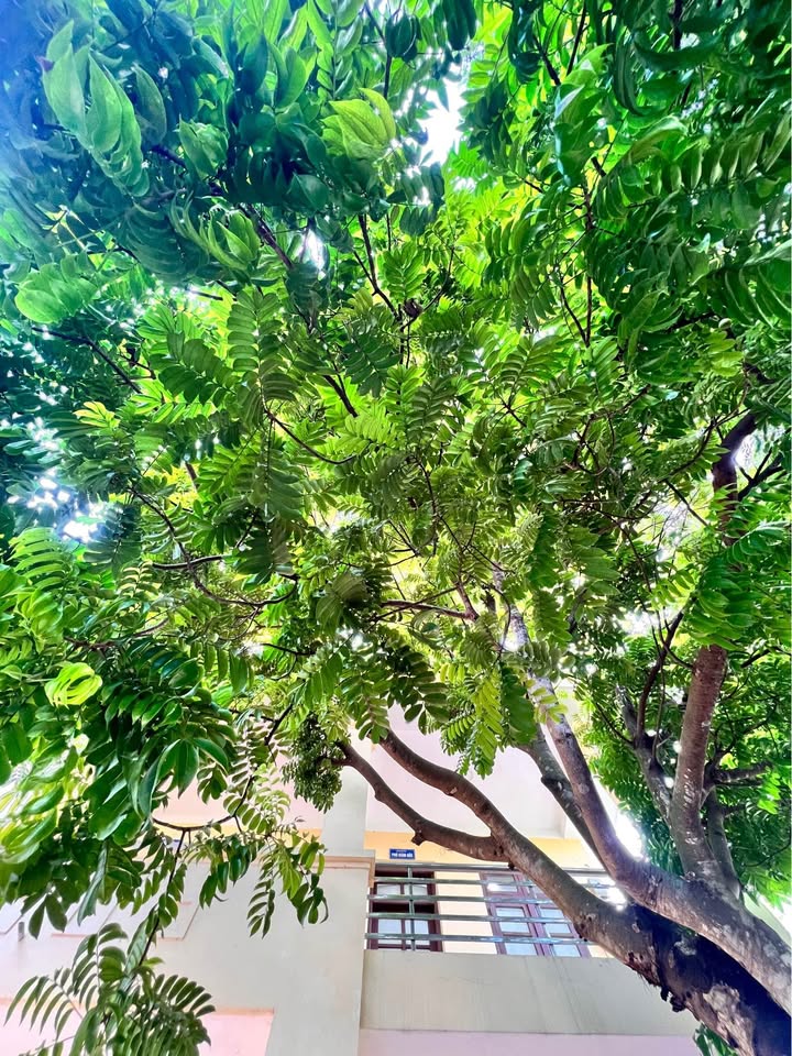 Đất nền xã Yên Mạc 110m² - Sổ đỏ chính chủ, giá thỏa thuận!