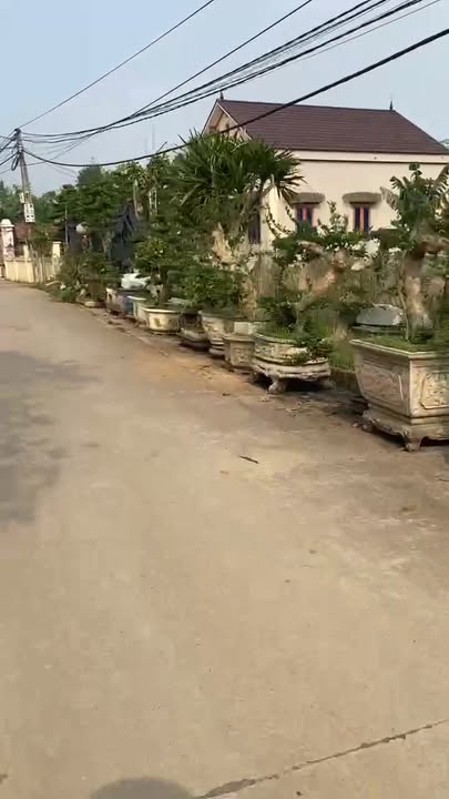 Đất nền Yên Sơn, Tam Điệp 198m² - Đường thông rộng, giá thỏa thuận!