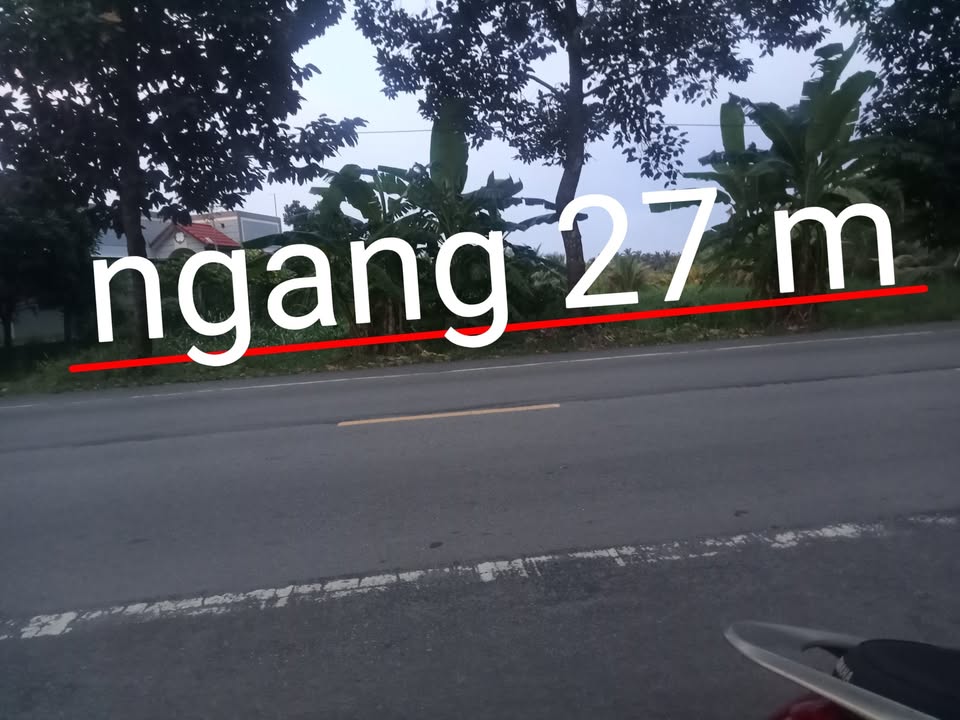 Đất nền Giồng Trôm Bến Tre 8181m² giá 820 triệu - Sổ hồng chính chủ, sẵn sàng xây dựng!