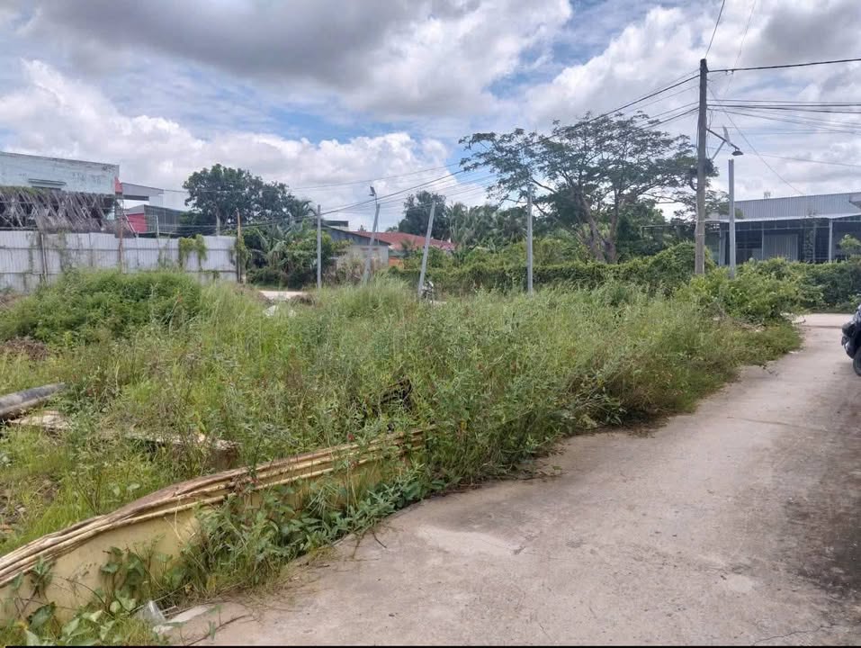 Đất mặt tiền sông Cái Cam, Long Châu, Vĩnh Long 2000m² - Giá chỉ 18 tỷ!