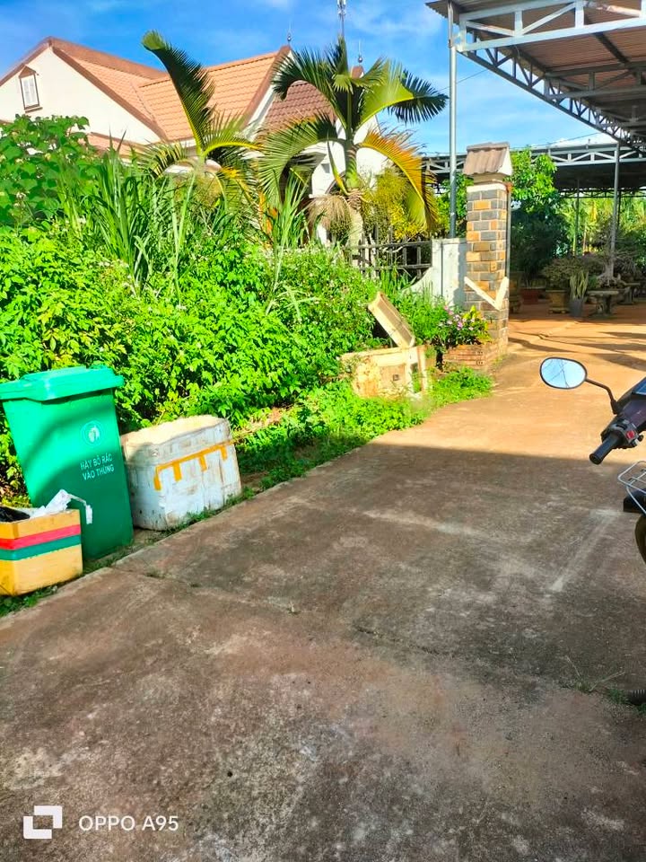 Đất nền Phước An, Krông Pắc 125m² giá 1.25 tỷ - Cơ hội đầu tư hiếm có!