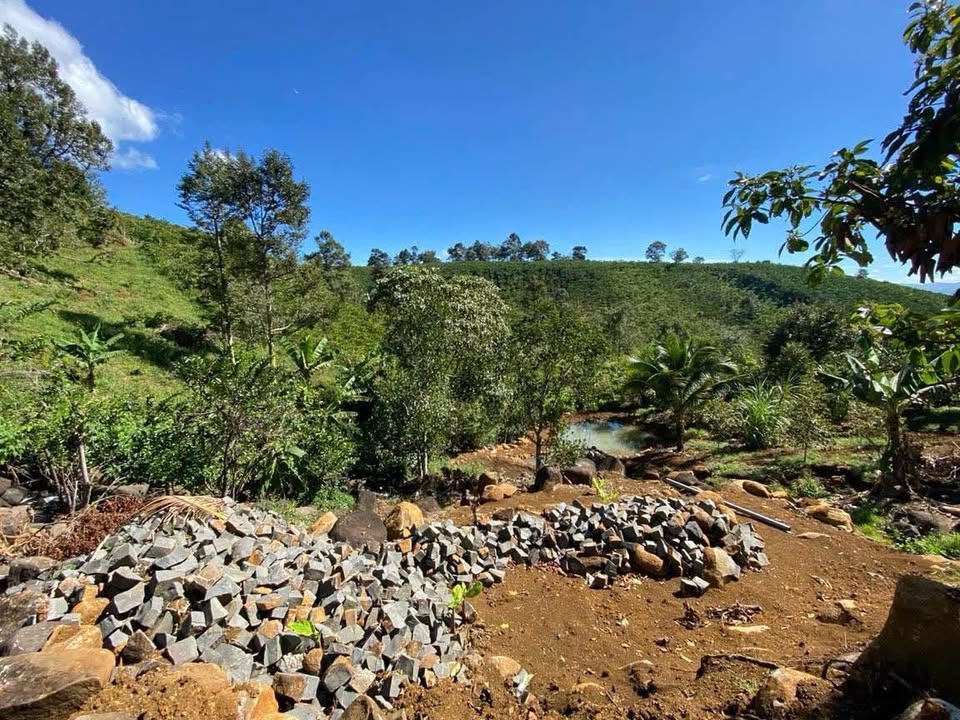 Đất Farm 4000m² mặt tiền Nguyễn Trãi - Giá chỉ 7.5 tỷ, sổ đỏ chính chủ!