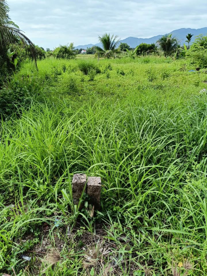 Đất Hương lộ 39 Diên Phước 114m² giá 1.71 tỷ - Gần chợ và trường học!