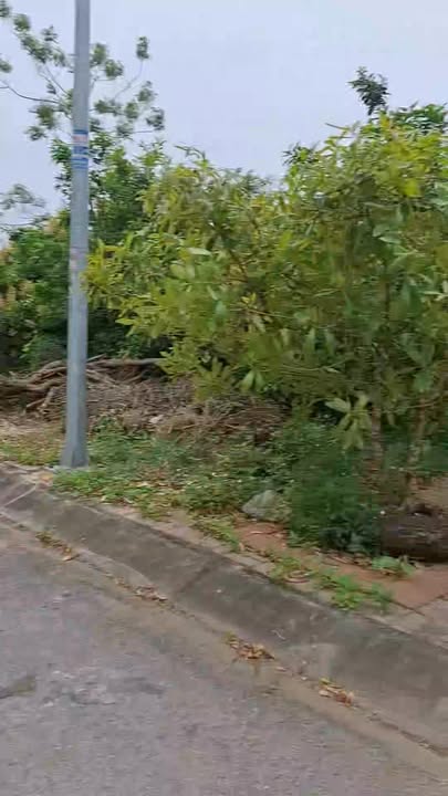 Đất nền phường Lam Sơn, TP Hưng Yên 112m² giá 1 tỷ - Ô tô vào tận đất!