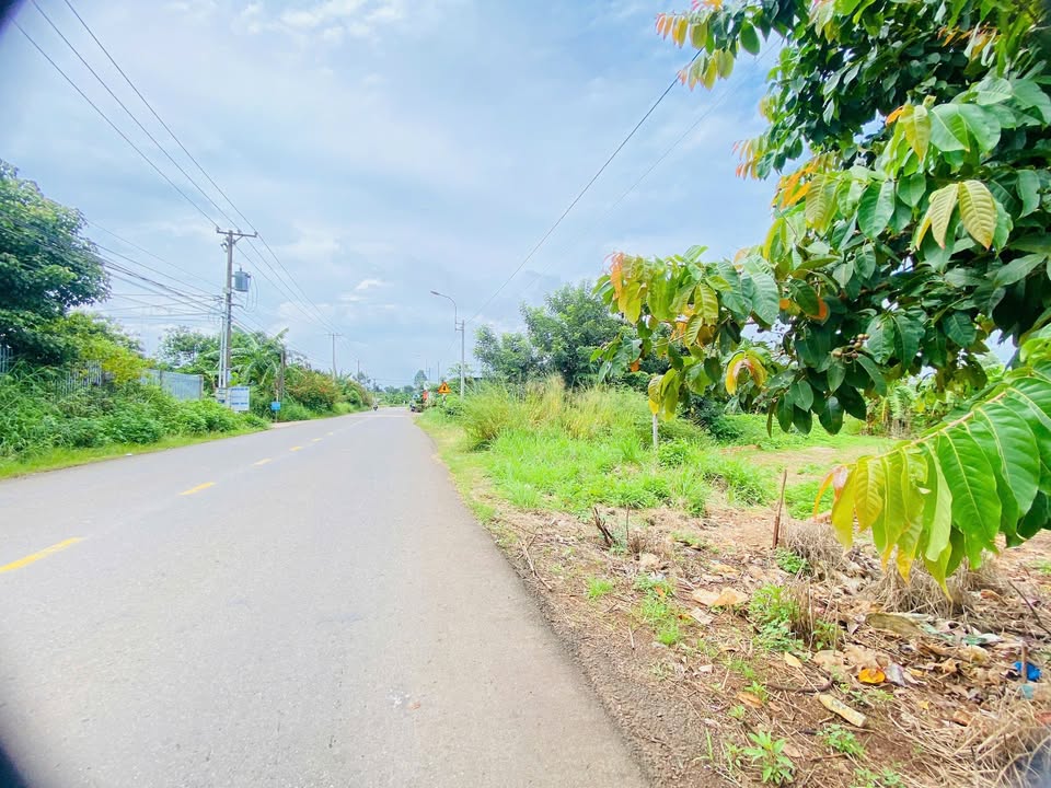 Đất mặt tiền Suối Chồn, Bảo Vinh 234.5m² giá chỉ 1.45 tỷ - Cơ hội đầu tư tuyệt vời!