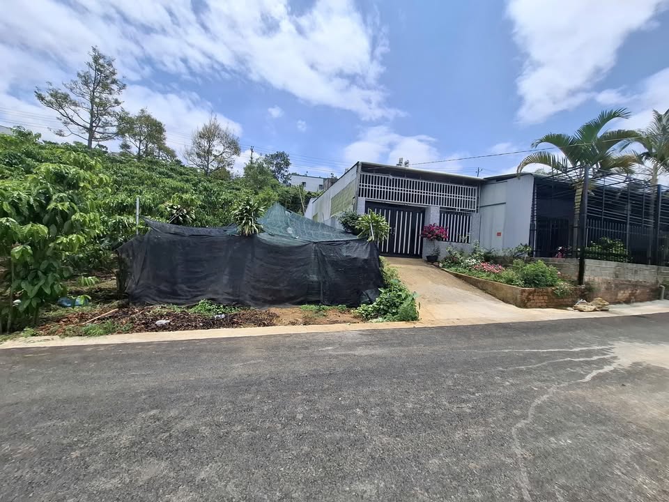 Đất nền 550m² hẻm 20 Tố Hữu, B'lao Bảo Lộc giá 2.5 tỷ - Đầu tư sinh lời ngay!