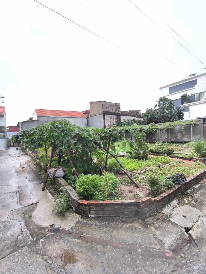 Đất lô góc Thượng, Văn Hoàng, Phú Xuyên 82.1m² giá 2.23 tỷ - Ô tô vào tận nơi!