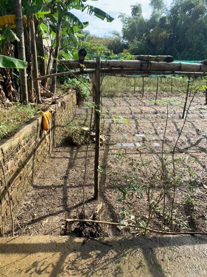 Đất Duy Phước 120m² giá 500 triệu - Vị trí gần Cẩm Kim chỉ 5 phút!