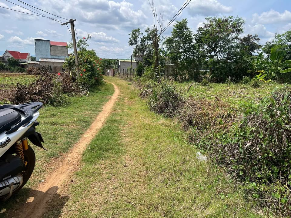 Đất Farm 6.000m² tại Phú Xuân, Krông Năng giá 66 tỷ - Đầu tư sinh lời ngay!