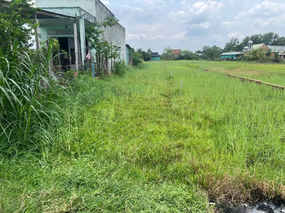 Đất thổ cư Đức Lập Hạ, Đức Hòa 250m² giá 1.05 tỷ - Sổ hồng riêng chính chủ!