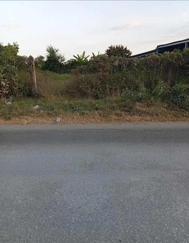 Đất nền mặt tiền Đại Hòa Lộc, Bình Đại 450m² giá 2.7 tỷ - Tiềm năng kinh doanh vượt trội!