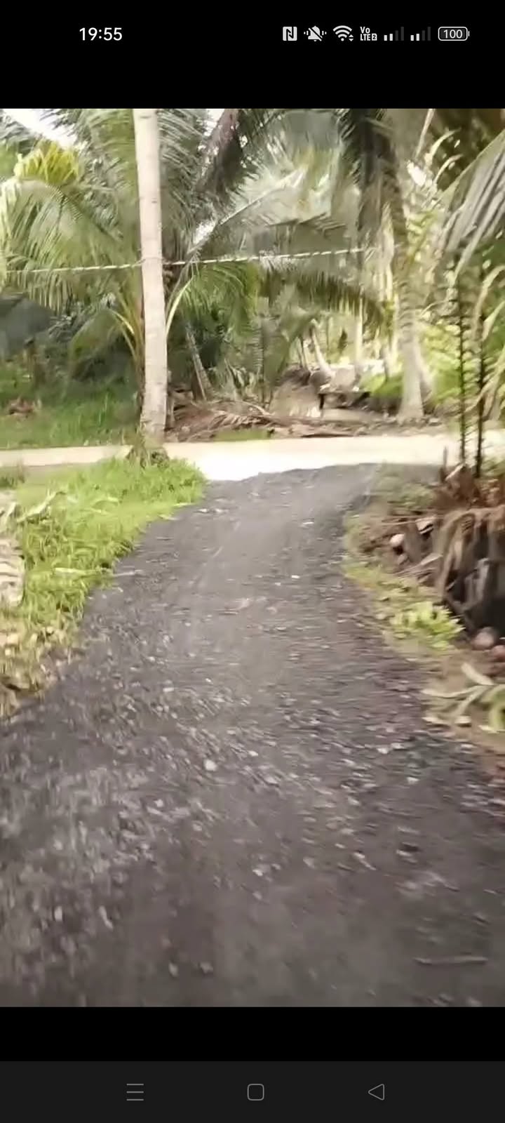 Đất vườn dừa Bình Hòa, Giồng Trôm 1685m² chỉ 459 triệu - Đầu tư sinh lời ngay!