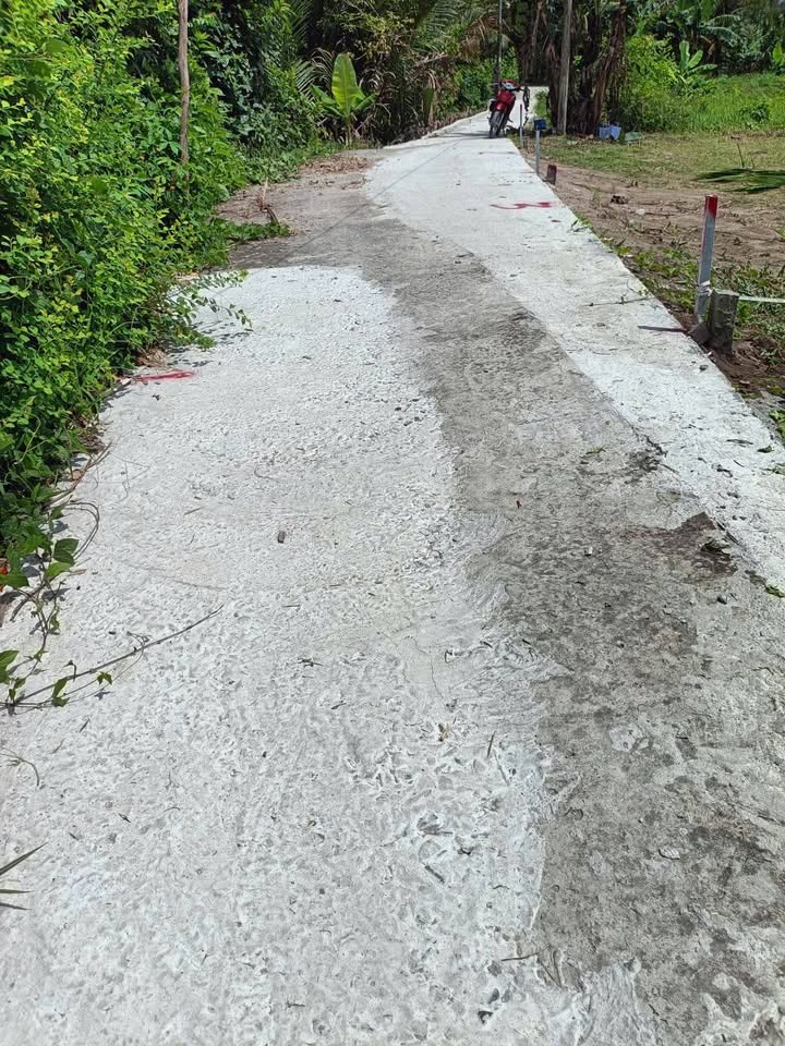 Đất nền xã Mỹ Thuận Vĩnh Long 122m² giá chỉ 250 triệu - Cơ hội đầu tư sinh lời!