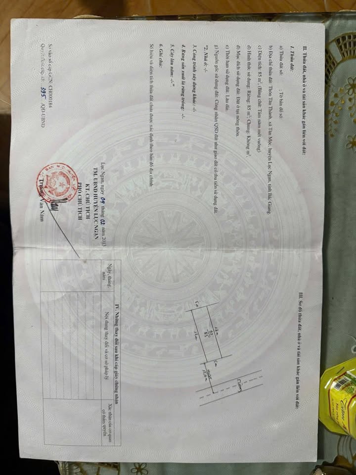 Đất nền Tân Mộc Lục Ngạn 85m² giá 1 tỷ - Đầy đủ tiện ích xung quanh!