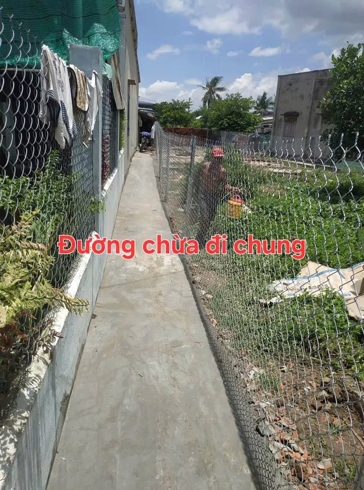 Đất nền 287m² tại Phú An, Hàm Thắng - Giá chỉ 890 triệu, thương lượng ngay!