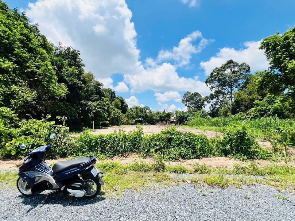 Đất Xã Phú Hòa Đông Củ Chi 1019m² giá 5 tỷ - Mặt tiền đường thông tiện lợi!