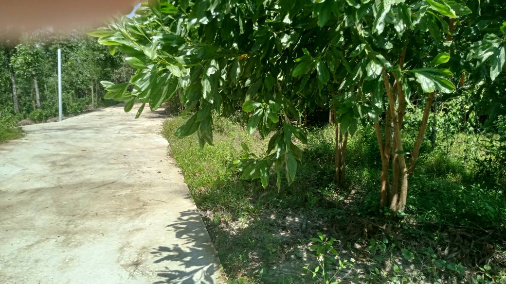 Đất ở Hòa Sơn, Đà Nẵng 235m² giá 1.4 tỷ - Khu dân cư đông đúc, tiện lợi!