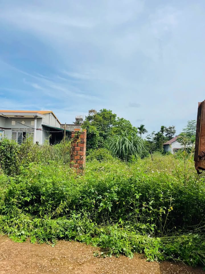 Đất nền Tân Lập, Buôn Ma Thuột 750m² giá 2.68 tỷ - Tiềm năng tăng giá cao!